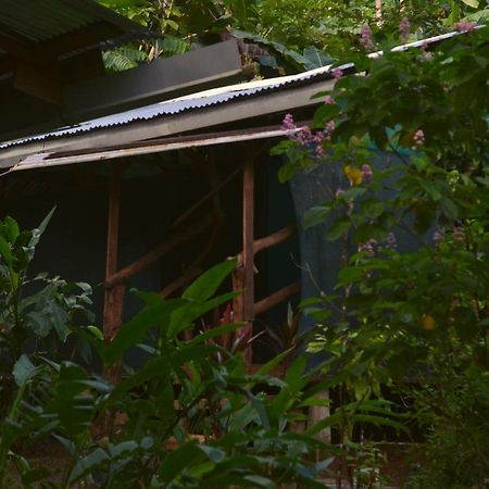 Corcovado Guide House Hotel Barrigones Екстериор снимка