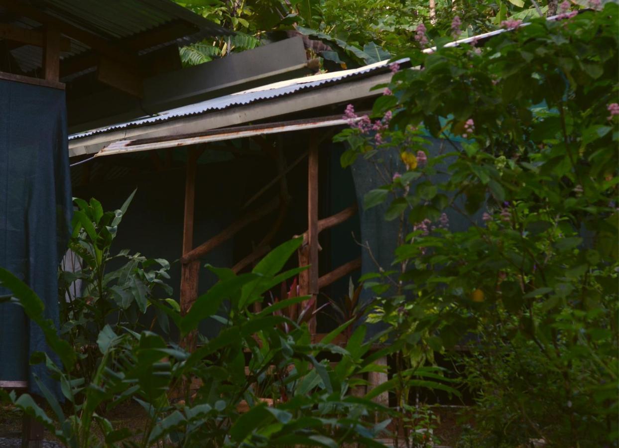 Corcovado Guide House Hotel Barrigones Екстериор снимка