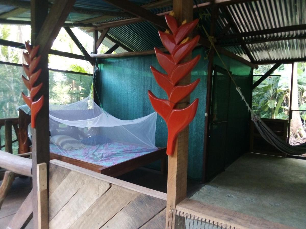 Corcovado Guide House Hotel Barrigones Екстериор снимка