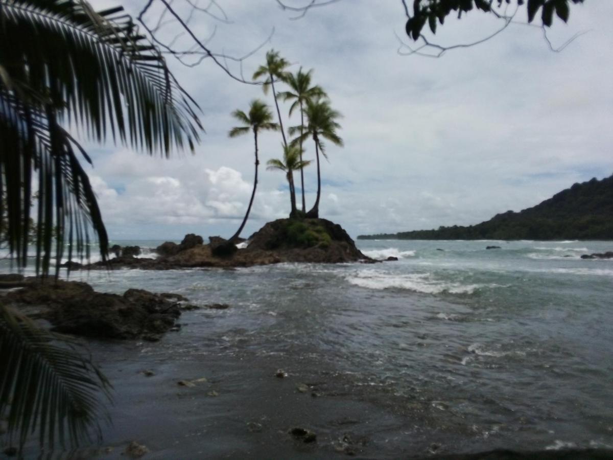 Corcovado Guide House Hotel Barrigones Екстериор снимка