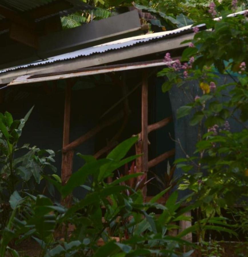 Corcovado Guide House Hotel Barrigones Екстериор снимка